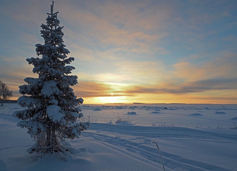 Photograph by Евгений Яковлев