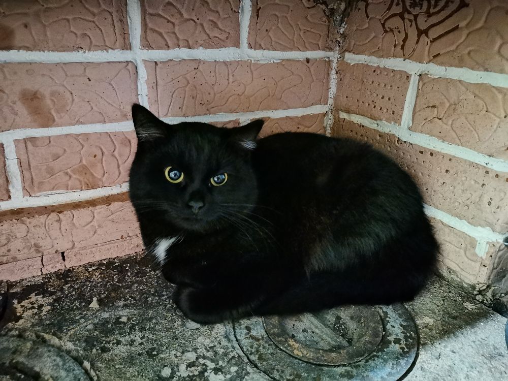 Photograph by Калинина Анастасия