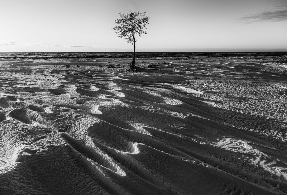 Photograph by Крицак Ольга