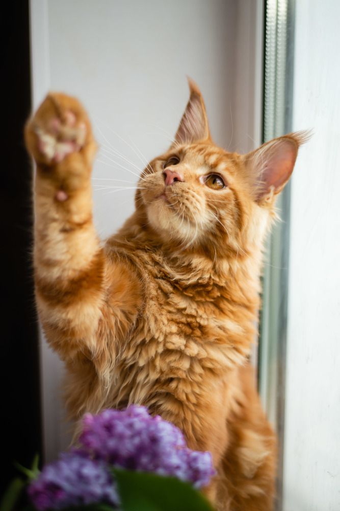 Photograph by Светлана Субботина