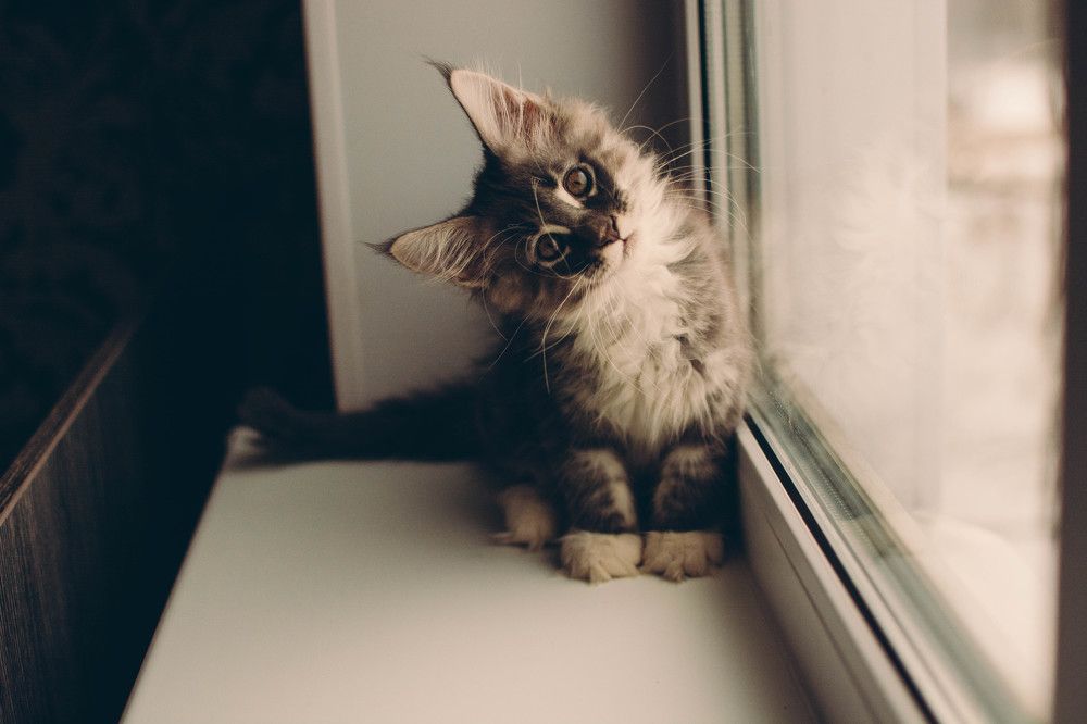 Photograph by Светлана Субботина