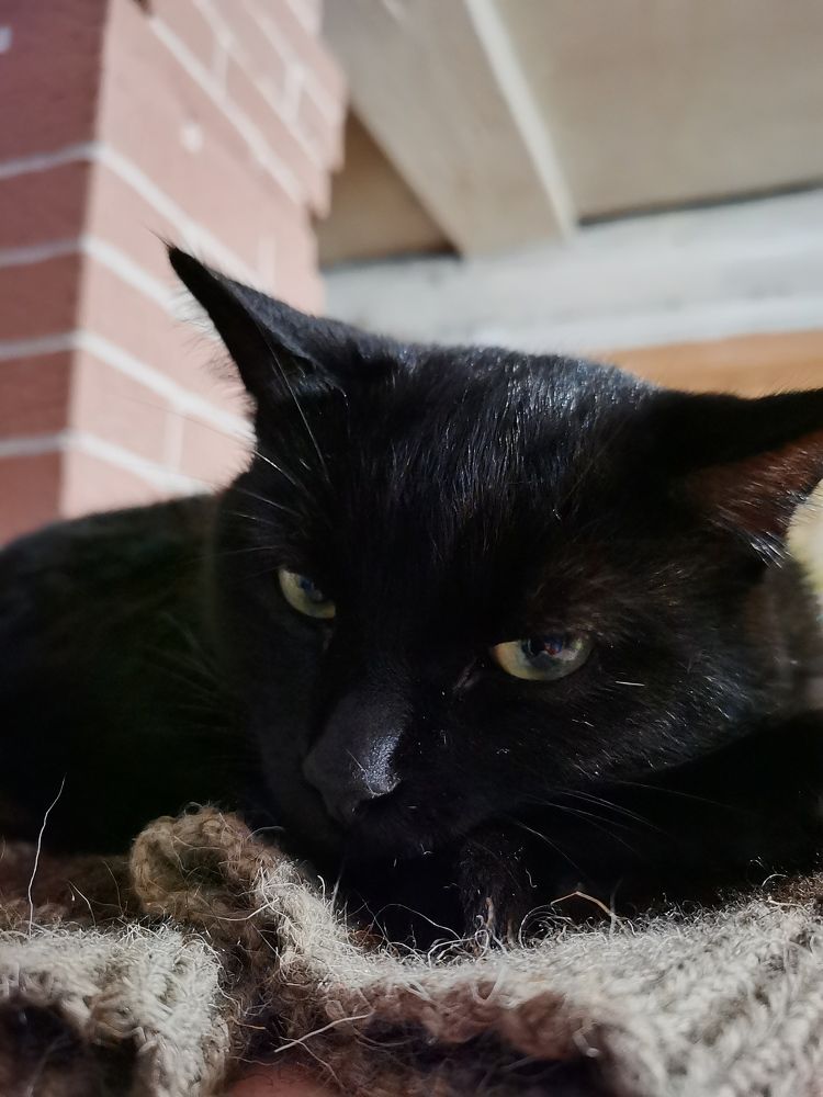 Photograph by Анастасия Мальцева