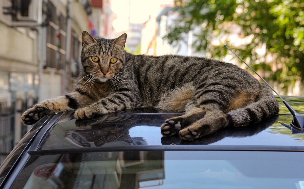 Photograph by Сергей Иванов