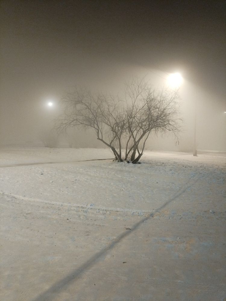 Photograph by Светлана Середина