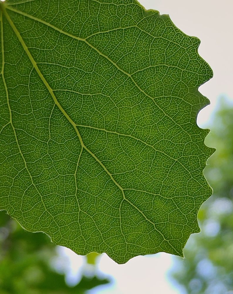 Photograph by Татьяна