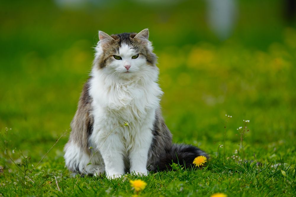 Photograph by Ольга Шугалевская