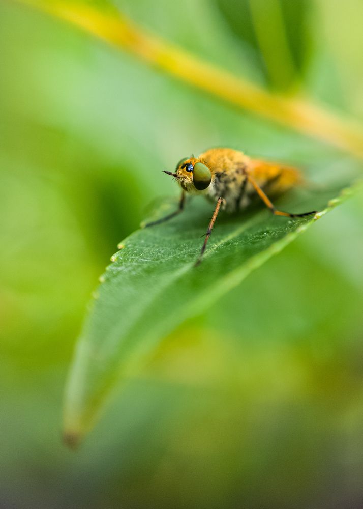 Photograph by Алексей Крукович