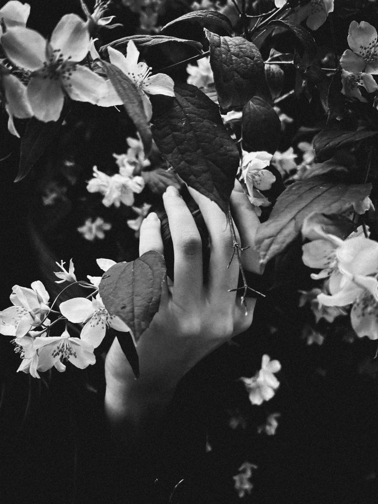 Photograph by Вася Кондратов