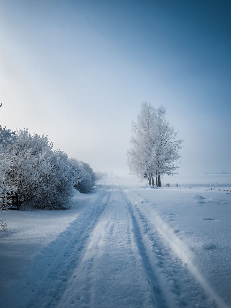 Photograph by Вася Кондратов