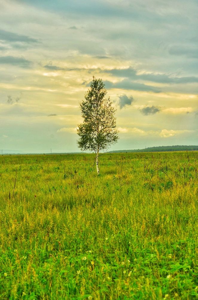 Photograph by Soldatenko Maksim