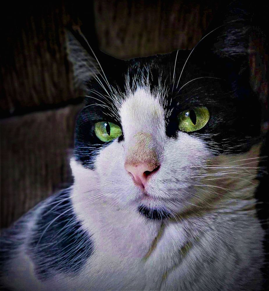 Photograph by HECTOR ANTONIO RAUCHS