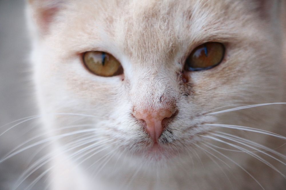 Photograph by Fatemeh Nz