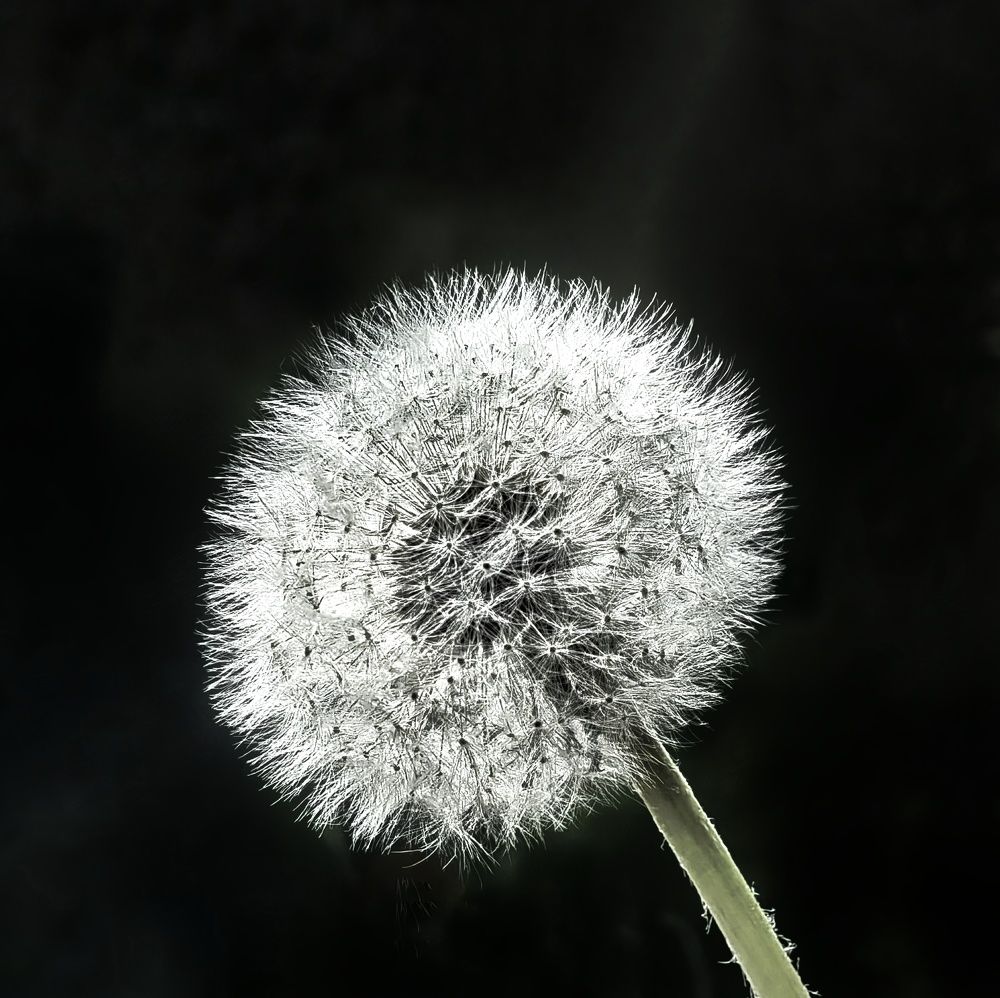 Photograph by Юрий Полушин