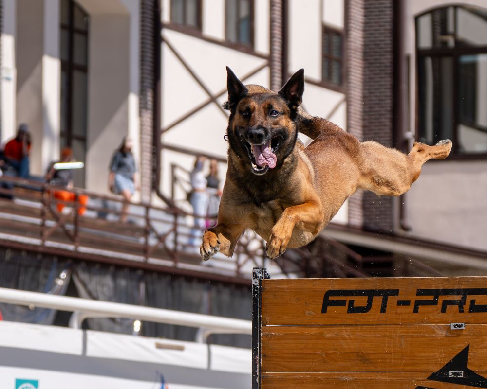 Выше, дальше, быстрее!