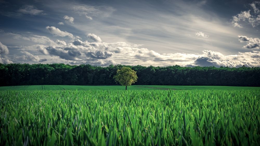 Photograph by Amel Mahmuljin