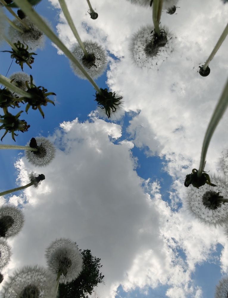 Photograph by Анастасия