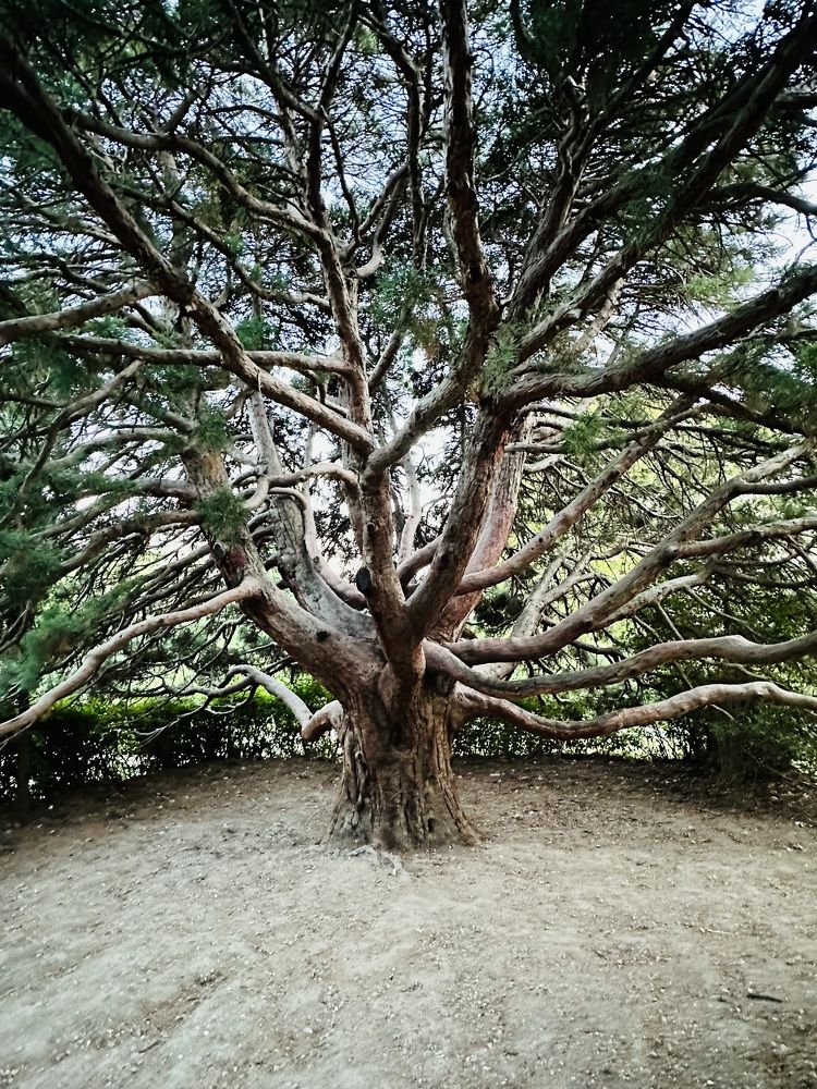 Photograph by Татьяна Казанкова