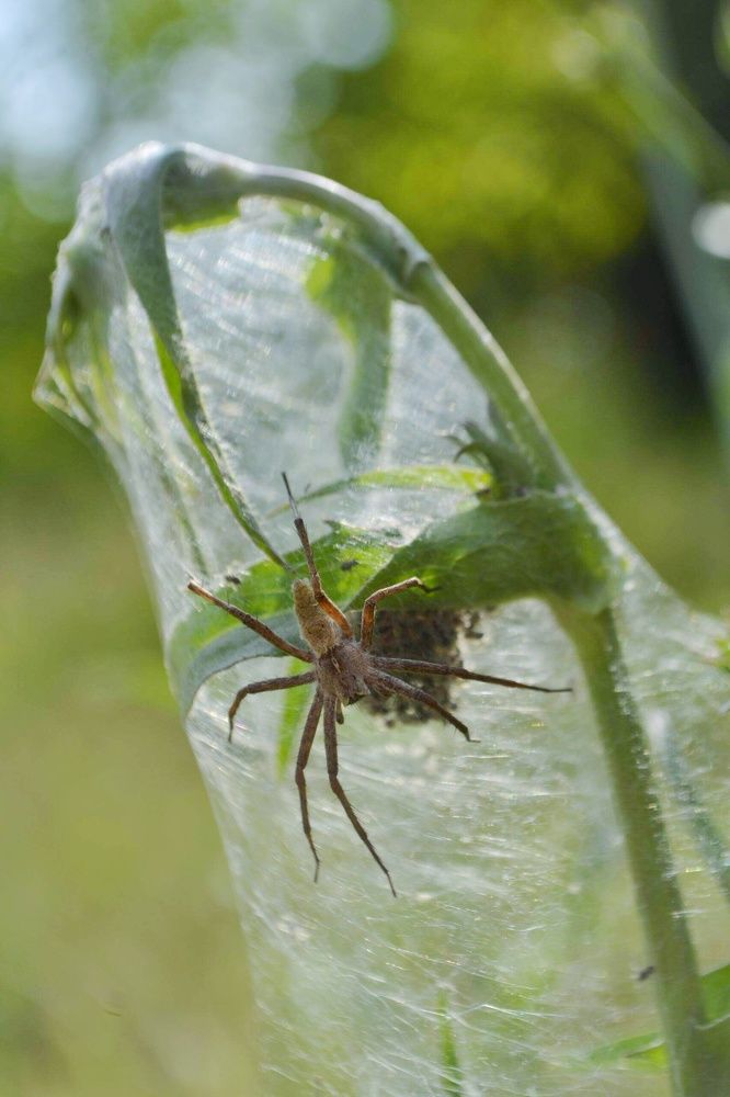 Photograph by Светлана Мазурова