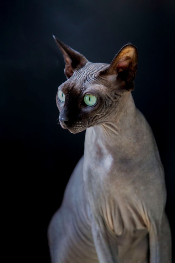 Photograph by Галина Сычева