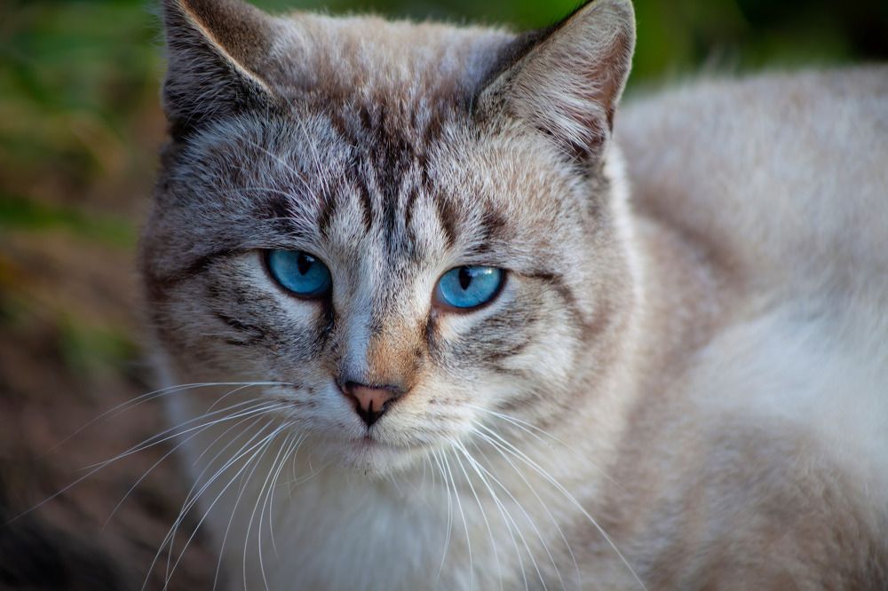 Photograph by Галина Сычева