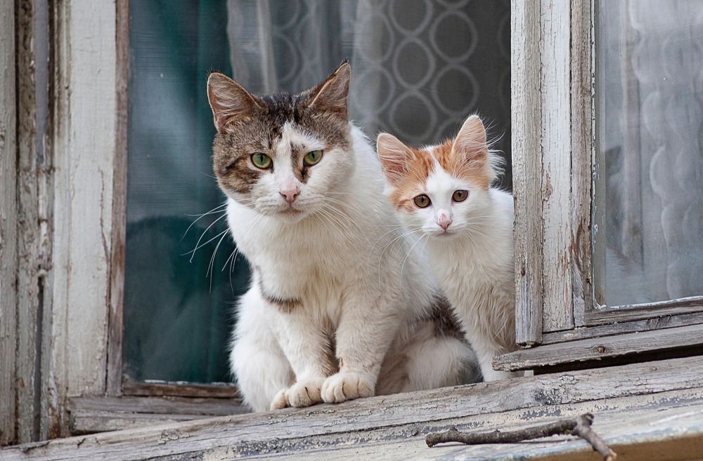 Photograph by Галина Сычева