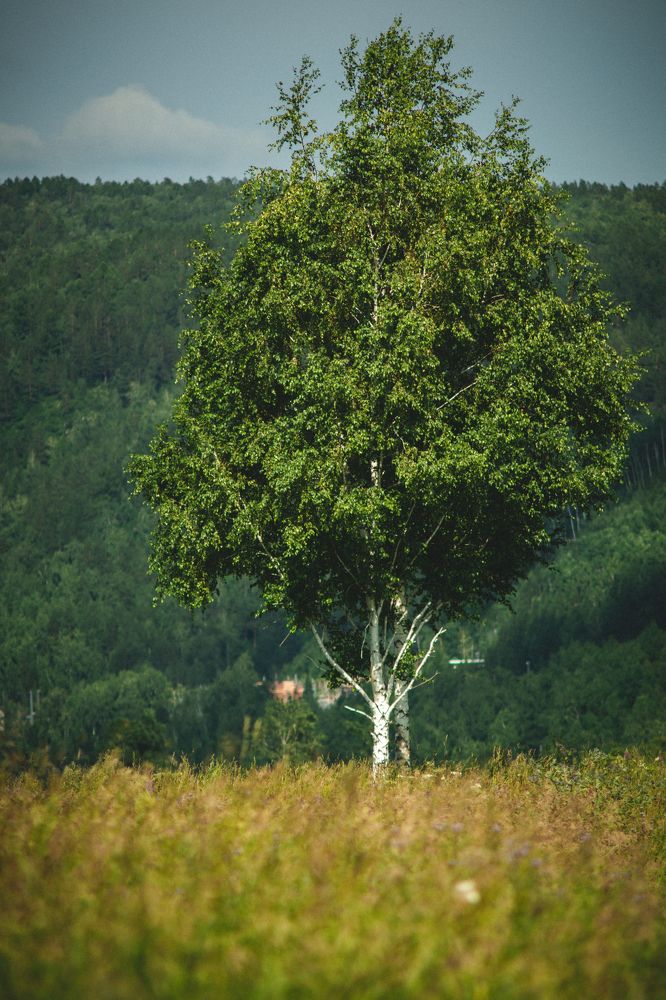 Photograph by Евгений Авдеев