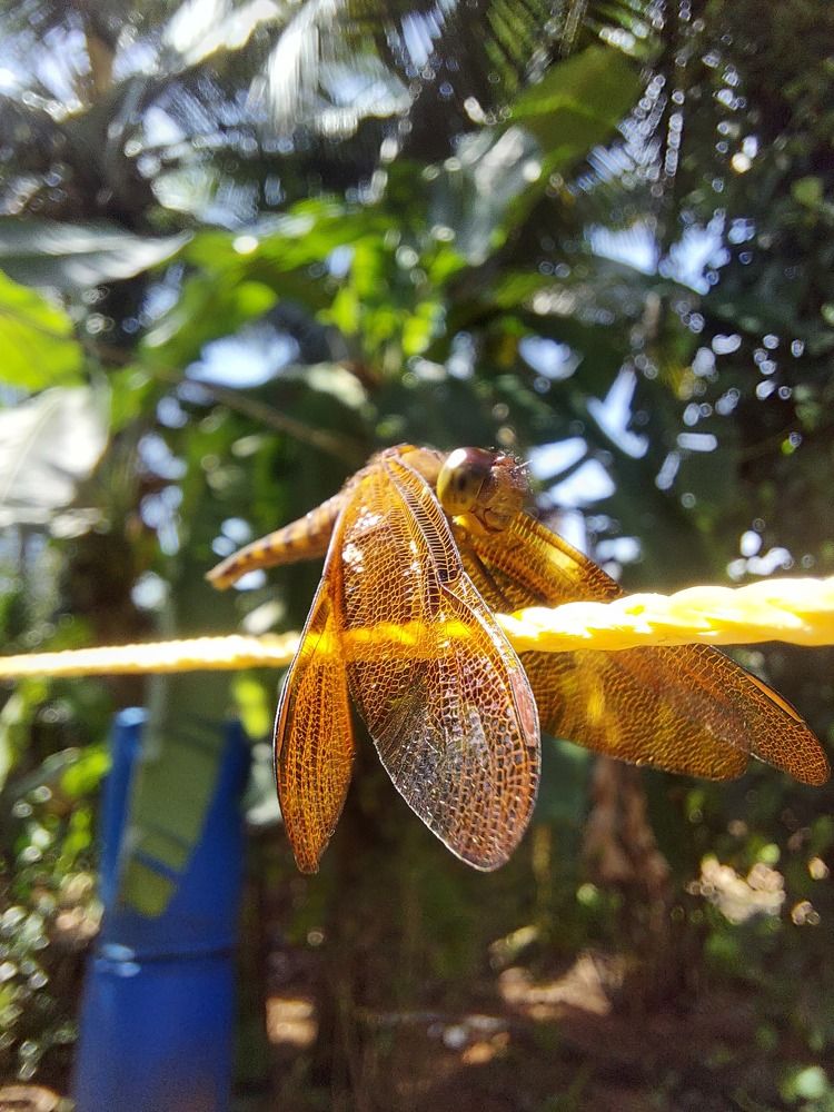 Photograph by Misaal D\'souza