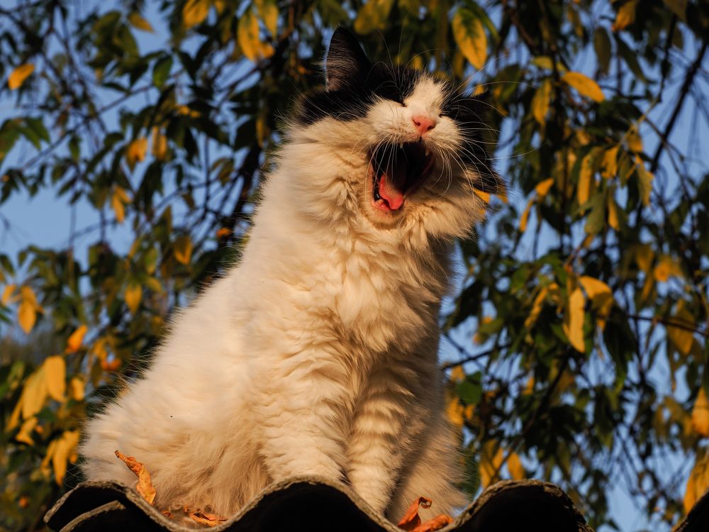 Photograph by Сергей Гаврилов