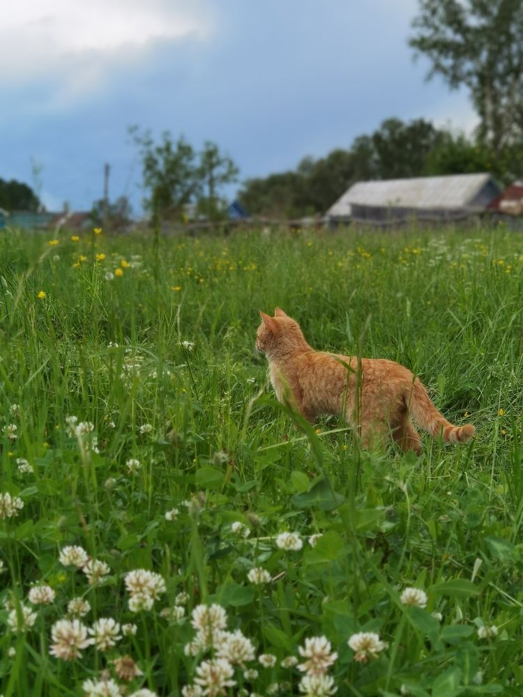 Photograph by Назлыгуль Малашова