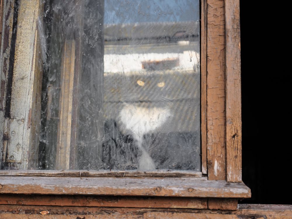 Photograph by Сергей Гаврилов