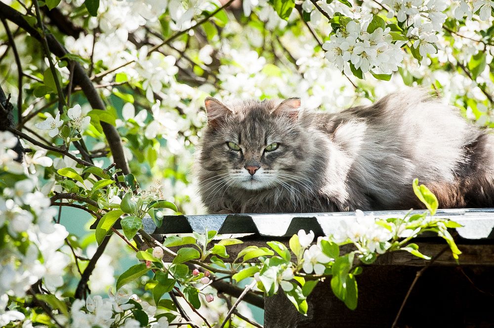 Photograph by Ирина Логовская