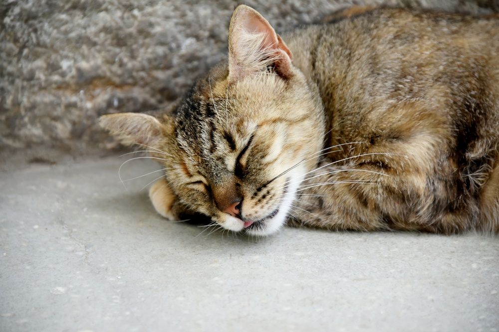 Photograph by Anna Zelinskaya