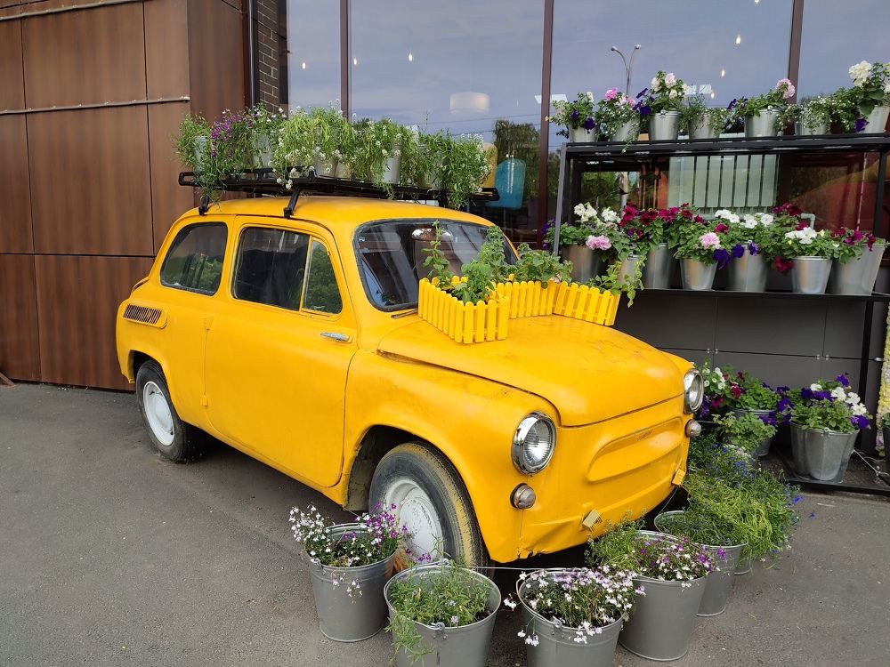 Photograph by Елена Горева