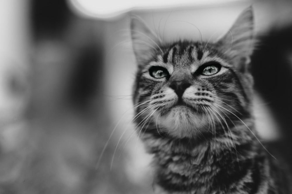 Photograph by Валентина Парфёнова