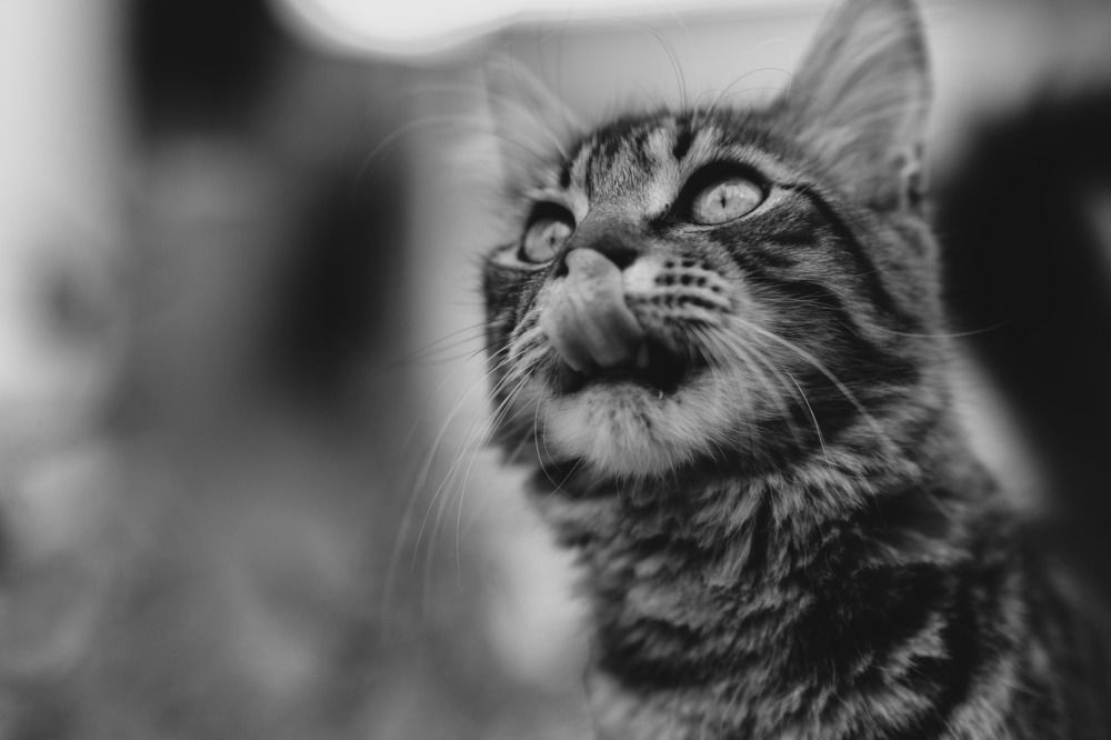 Photograph by Валентина Парфёнова