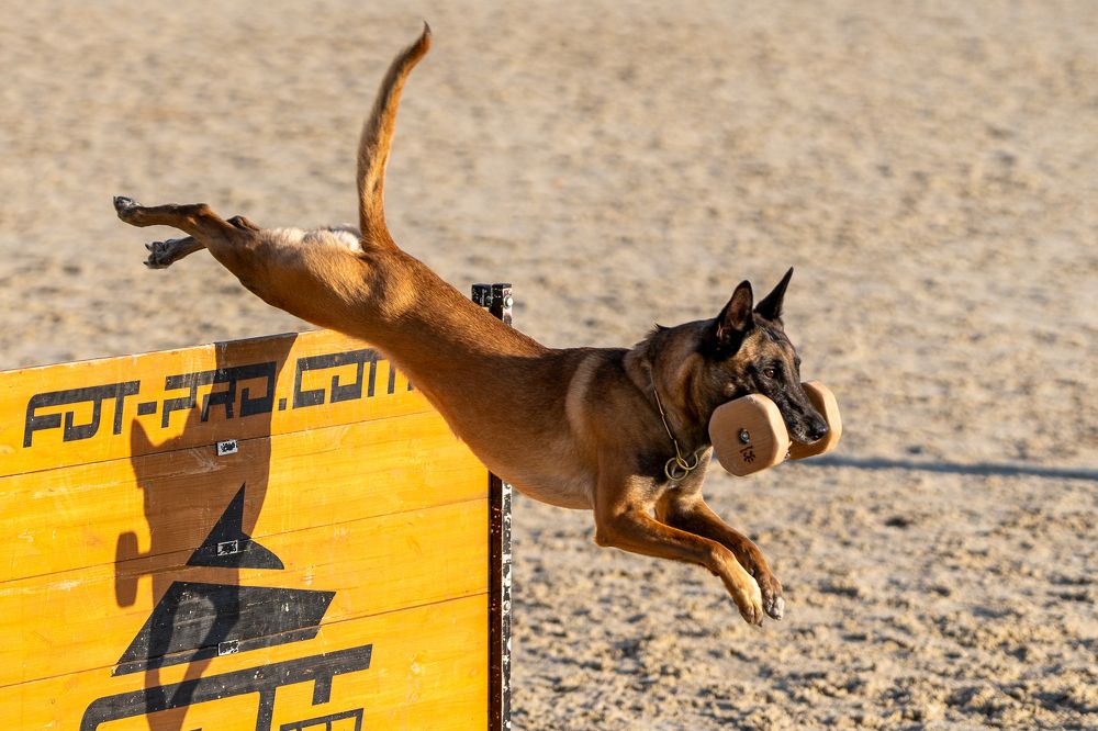 Прыжок с апортом