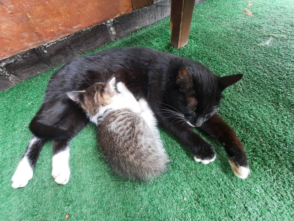 Photograph by Irina Alexandrova