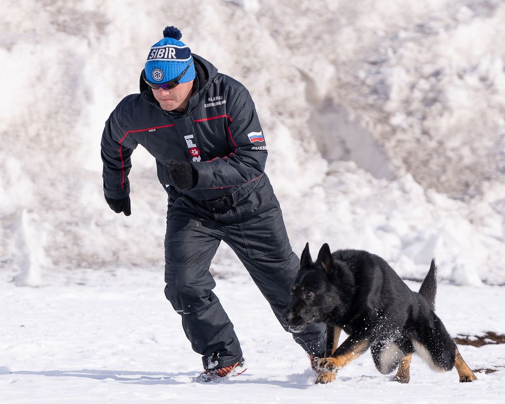 Вместе мы - сила!