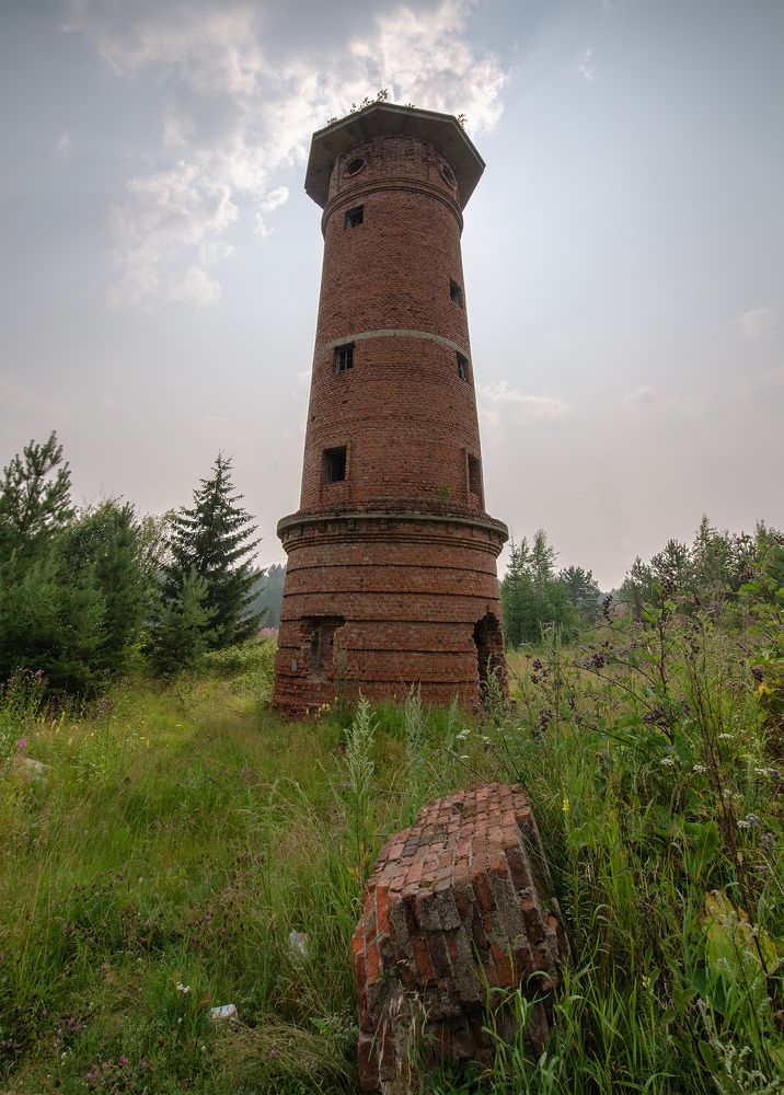 Photograph by Sergey Lebedev