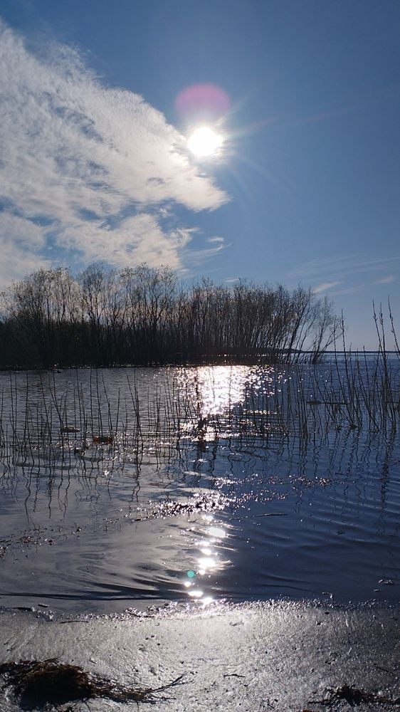 Photograph by Татьяна Власова