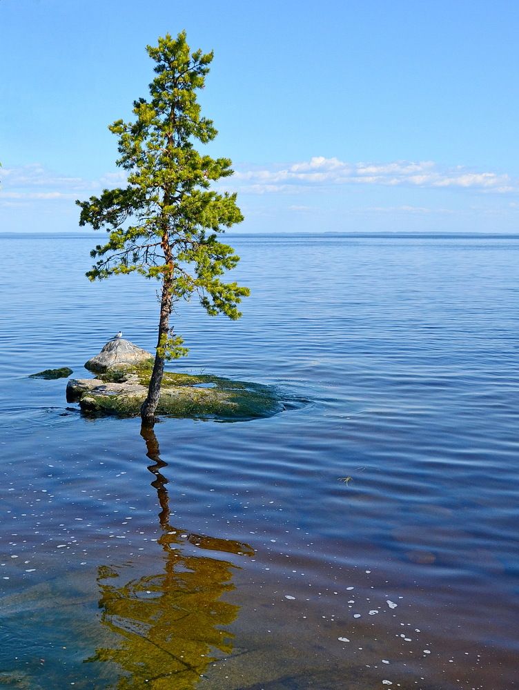 Photograph by Лидия Ушакова