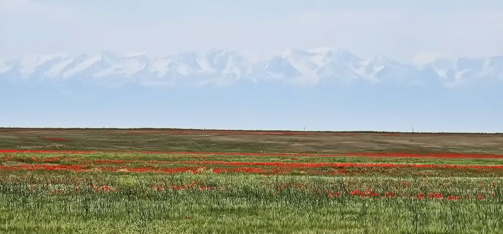 Photograph by Наталья Баранова