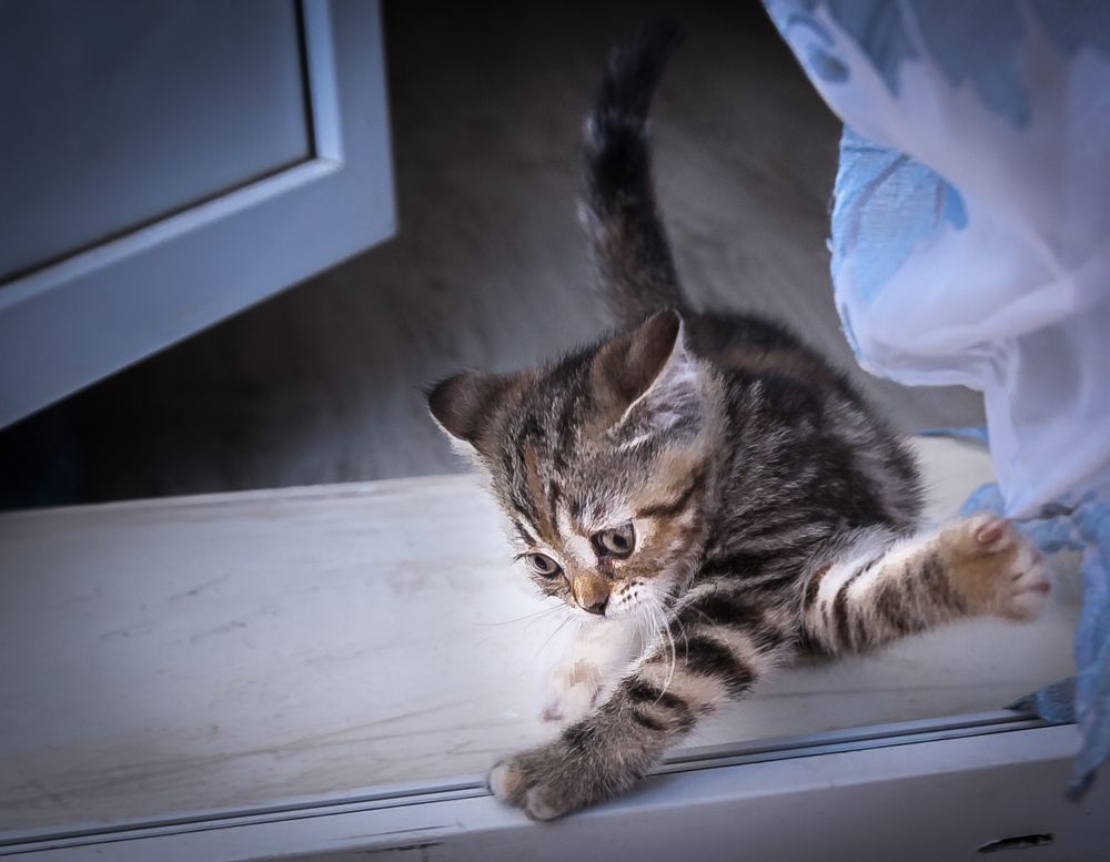 Photograph by Кривенко Владимир