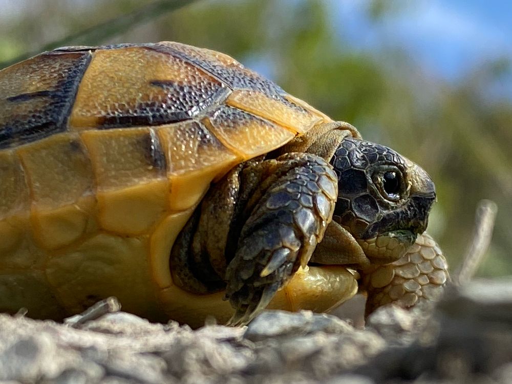 Фотография автора Екатерина Круглик