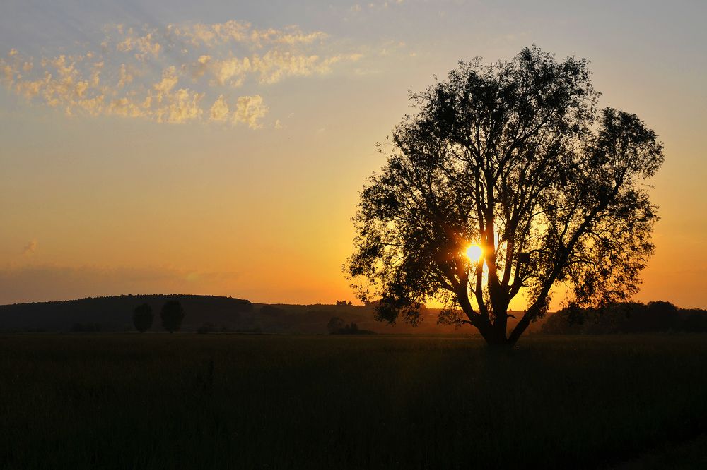 Photograph by Фарит Зиатдинов