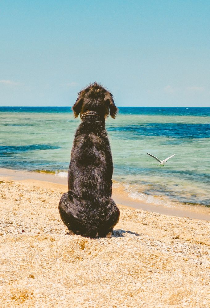 Photograph by Глущенко Ольга