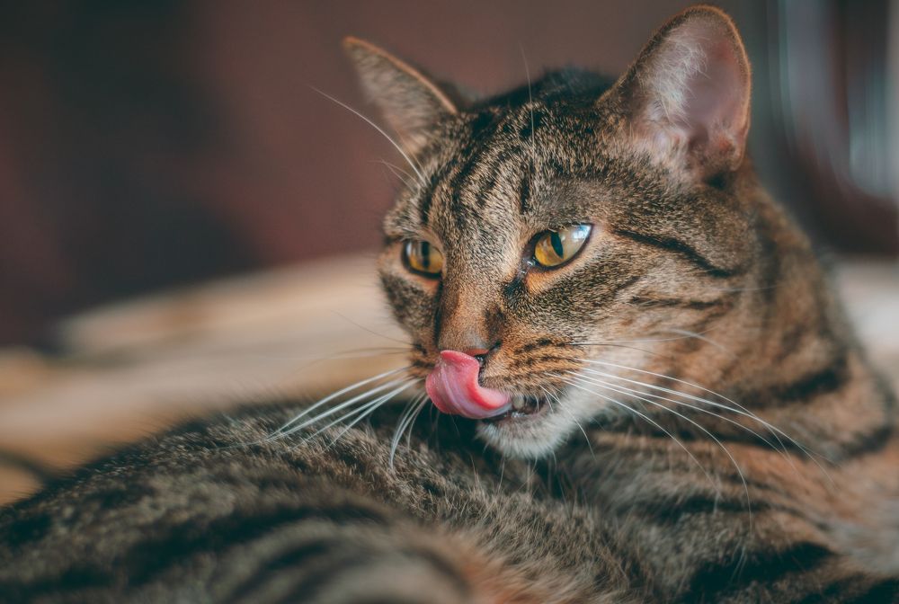 Photograph by Глущенко Ольга