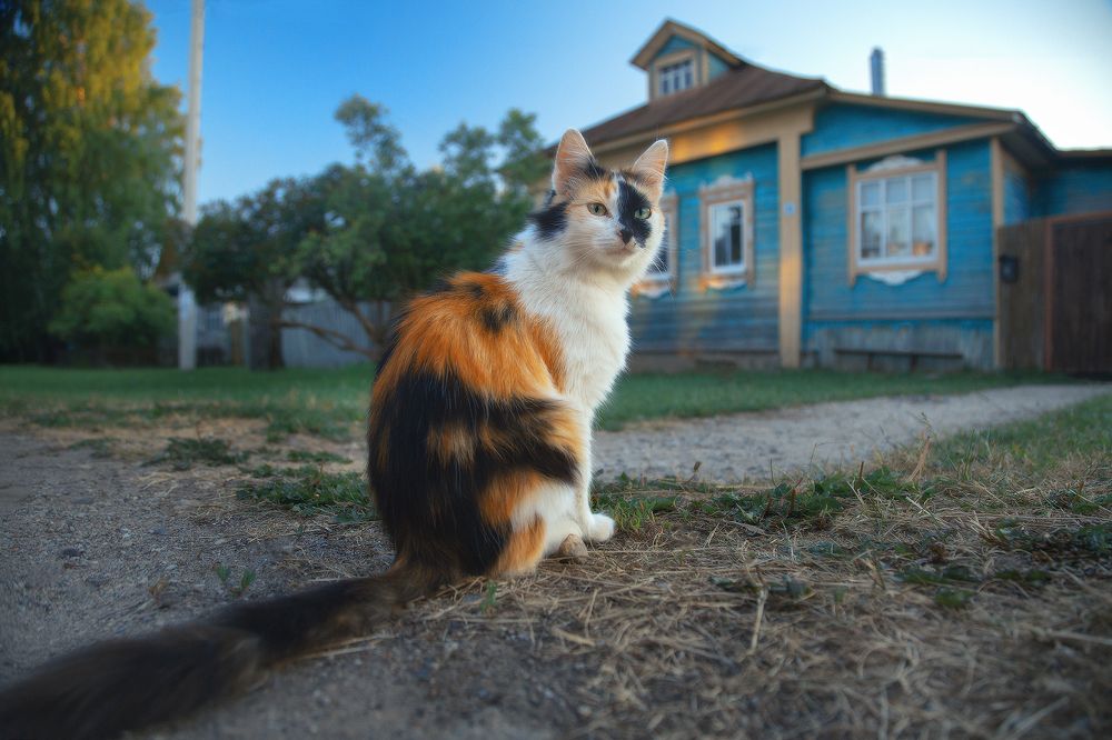 Photograph by Макаров Роман