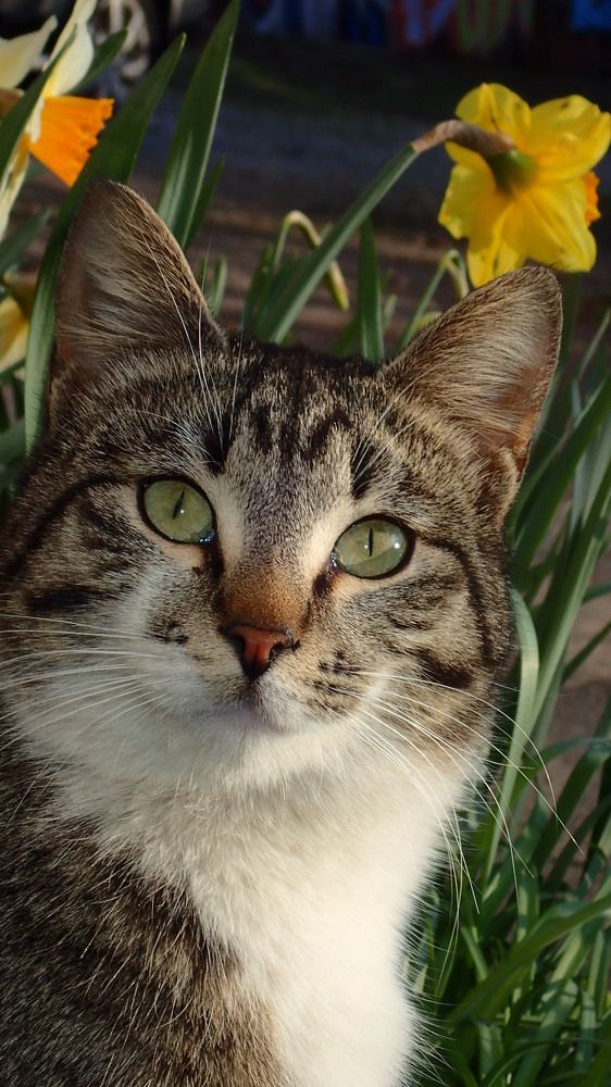 Как прекрасе мир, когда не надо воевать