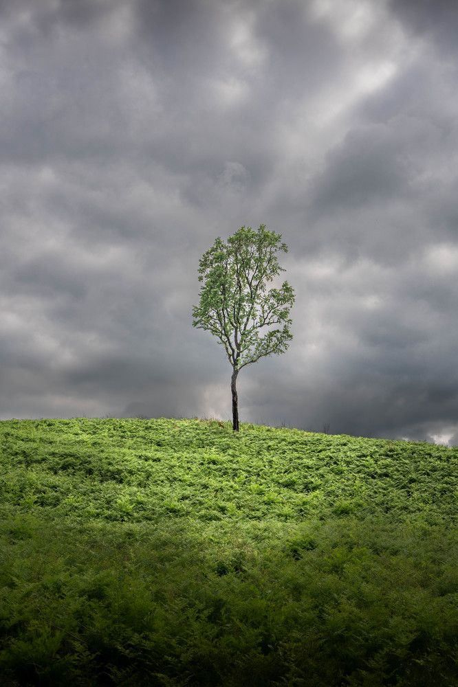 Photograph by Игорь Иванов